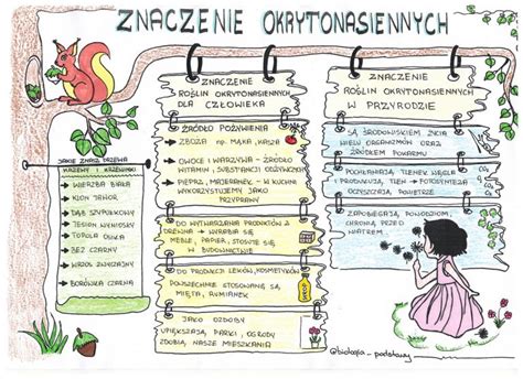 Okrytonasienne Klasa Kolorowa Sketchnotka Cz Z Oty Nauczyciel