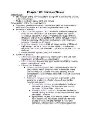 Solved Which Of The Following Terms Refers To Crossing Over Of The