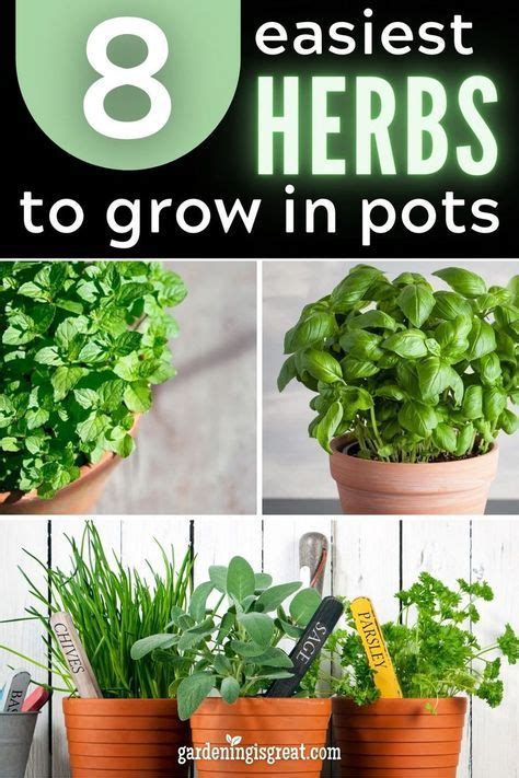 7 Creative Herb Garden Ideas For Growing Herbs In Containers Artofit