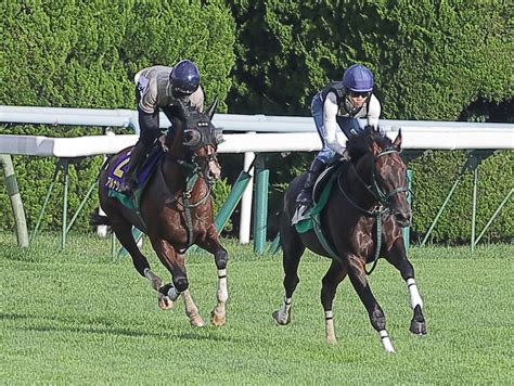 アルナシーム進化した姿見せる 鮫島駿「2歳の時から能力あると信じていた」／函館記念 競馬写真ニュース 日刊スポーツ