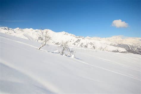 Winter Alpine Scene Stock Photo Image Of Italy Birch 29573138