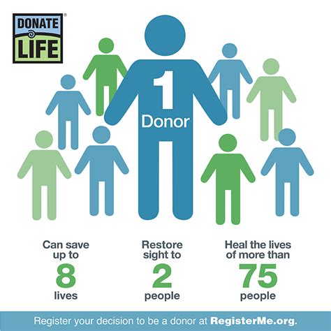 When Is Transplant Returning 2024 Almire Fredelia