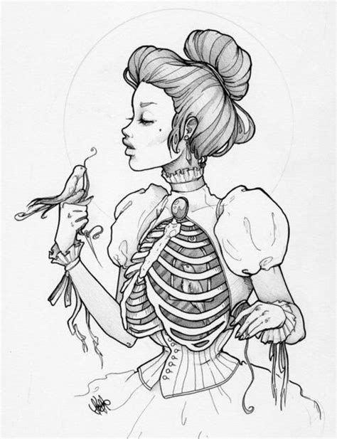 Female Skeleton Drawing At Getdrawings Free Download