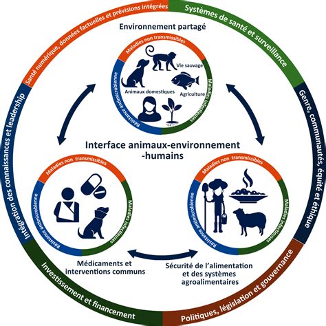 Une Seule Sant Une Approche Holistique Multisectorielle Visant