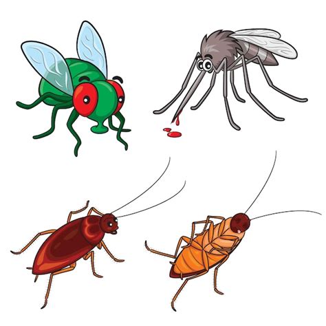 Dibujos Animados Lindo Mosquitos Moscas Y Cucarachas Vector Premium