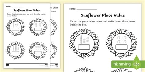 Free Sunflower Place Value Activity Sheet Teacher Made