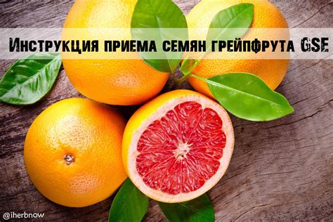 Инструкция приема экстракта семян грейпфрута GSE детям и взрослым