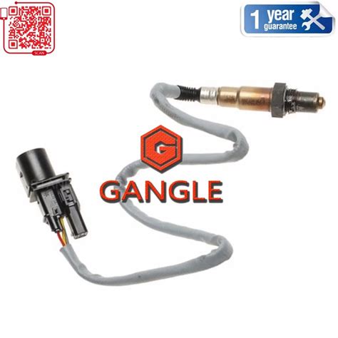 Oxygen Sensor