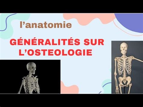 généralités sur l ostéologie YouTube