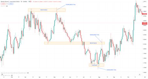 Naked Forex High Probability Techniques Guard Invest