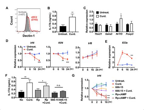 Stimulation Of DCs Via Dectin 1 A PPR Regulates IRF4 And KLF4