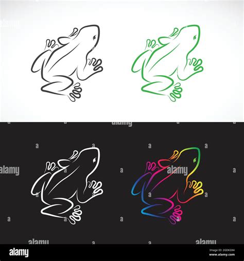 Vector de diseño de ranas sobre fondo blanco y fondo negro Anfibios