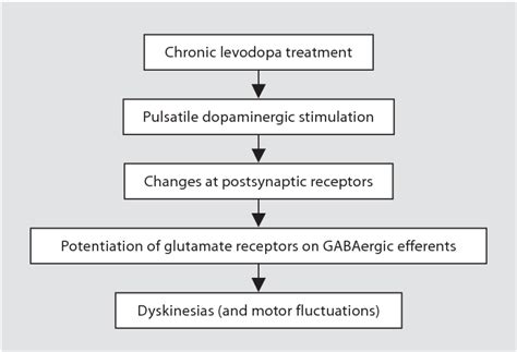 Levodopa Induced Dyskinesias In Parkinsons Disease Etiology Impact