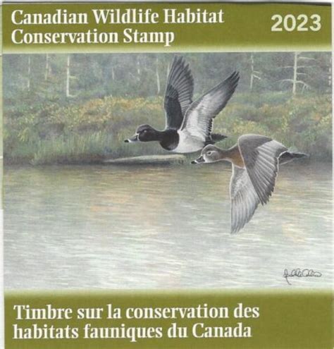 CANADIAN WILDLIFE HABITAT CONSERVATION STAMP - 2023 "BOREAL MIST - RING-NECKED DUCKS" 39