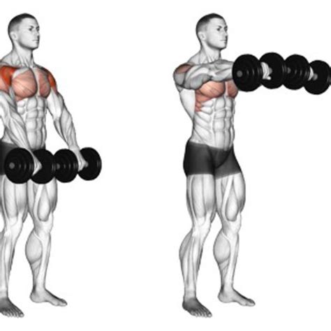 Lateral Shoulder Workout OFF 50