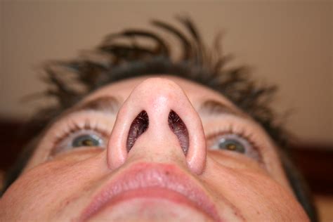 Nostrils After Flickr Photo Sharing