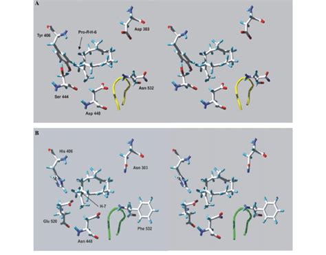 Model Of Active Site In Both Enzymes A View Of Germacrene