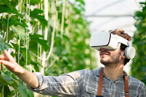 El Metaverso Y La Agricultura Del Futuro ¿mito O Realidad Integral