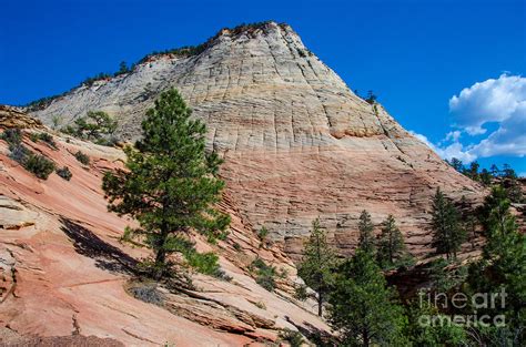 Checkerboard Mesa 2 Photograph By Baywest Imaging Fine Art America