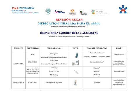 Revisión REGAP medicación inhalada y cámaras de inhalación para el