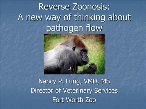 PPT - Reverse Zoonosis: A new way of thinking about pathogen flow PowerPoint Presentation - ID ...