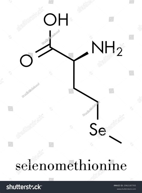 Selenomethionin Images, Stock Photos & Vectors | Shutterstock