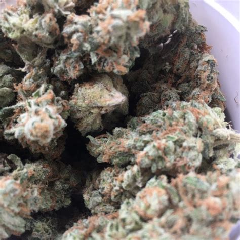 Afghani Strain Thc Store