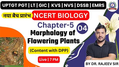 Up Tgt Pgt Lt Gic Kvs Nvs Dssb Emrs Ncert Biology