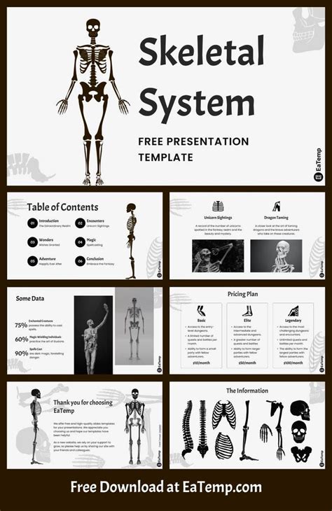 Skeletal System 13 Presentation Presentation Templates Presentation Design Template