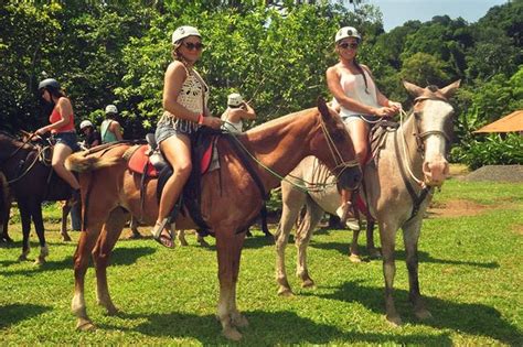 Horseback Riding Tour 2025 - Jaco