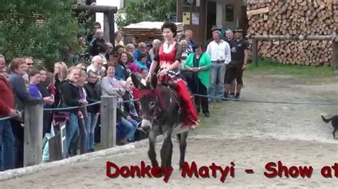 Donkey Riding Belly Dance Show Youtube