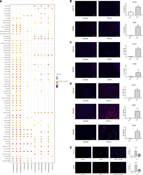 Frontiers Single Cell Rna Seq Analysis Reveals That Immune 40 Off