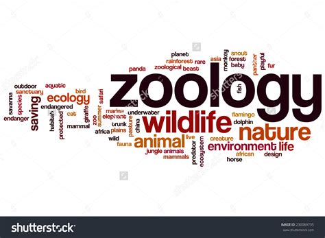 Zoology clipart - Clipground