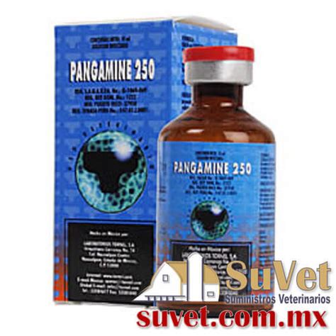 Pangamine Frasco De Ml Suvet