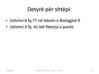 Ligjet E Mendelit PPT