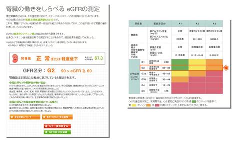 慢性腎臓病（ckd）情報サイト『知ろう。ふせごう。慢性腎臓病（ckd）』～「腎臓の働きをしらべるegfrの測定」コーナーをリニューアル