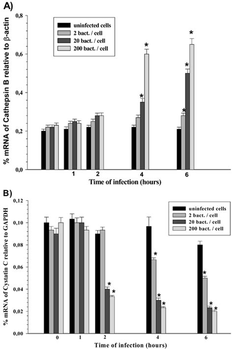 Histograms Showing Variations Of MRNA Expression Levels Of Cathepsin B