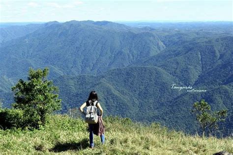 O Sil Ncio No Anivers Rio De Anos Da Reserva Biol Gica Do Alto Da