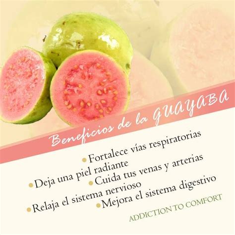 Beneficios De La Guayaba Guayaba Beneficios Guayaba Beneficios De