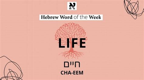 Life: Chaim (חַיִּים) - Rise in Peace - Chabad.org