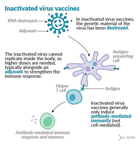 Covid Vaccine The Eight Technologies Being Tested Ivvn