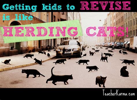 Herding Cats Meme Teaching