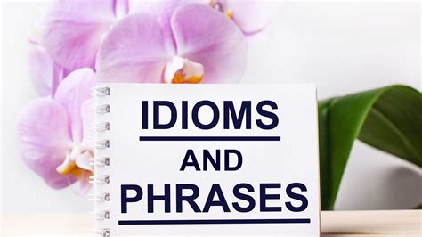 Idioms And Phrases For Ssc Cgl Cpo Mts Chsl Ssc Video Sscrevision Qi Fq