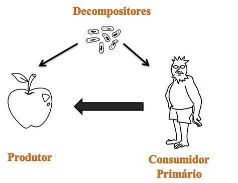 Desenhe Uma Cadeia Alimentar Na Qual Você Seja Consumidor Primário