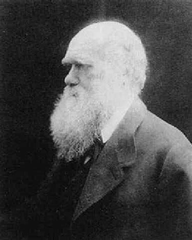 Portrait Of Charles Darwin By Julia Margaret Cameron On Artnet