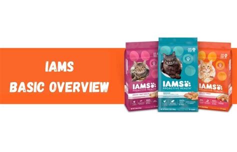 Iams Cat Food Review: Everything You Need to Know