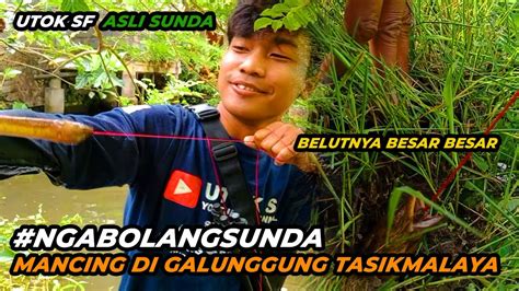 MANCING BELUT DI GALUNGGUNG TASIKMALAYA NGABOLANGSUNDA YouTube