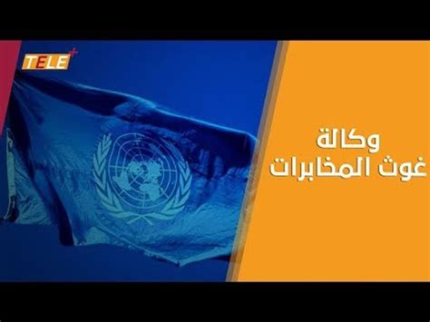 تحقيق وكالة غوث وتشغيل اللاجئين الفلسطينيين الأونروا تقدم قروضاً