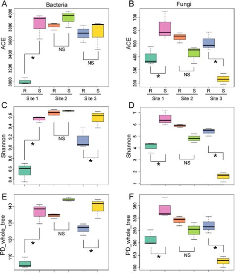 Alpha Diversity Of The Bacterial And Fungal Communities A C And