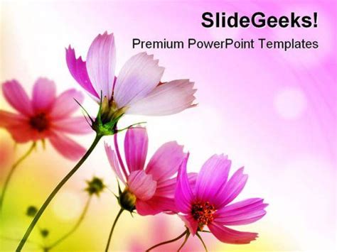 Beautiful Pink Flowers Beauty Powerpoint Templates And Powerpoint